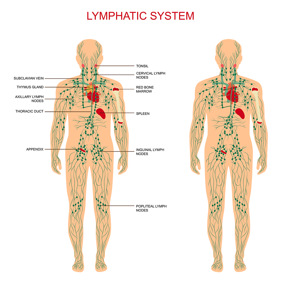 Electro-Lymphatic Therapy (ELT) Singapore | Oriental Remedies