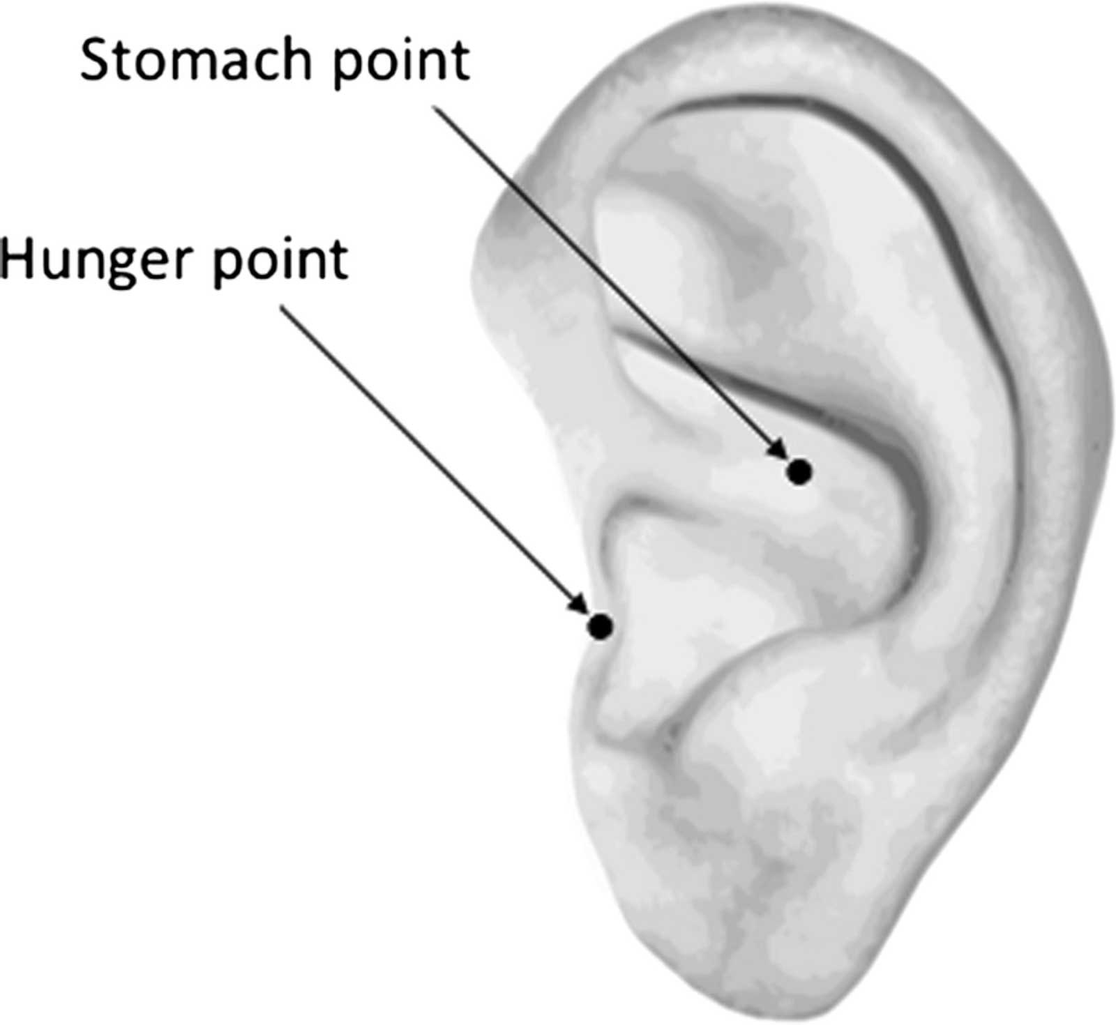 Ear Acupuncture To Aid Appetite Control | Oriental Remedies