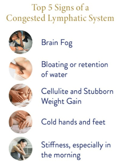 Top 5 Signs Of Congested Lymphatic System | Oriental Remedies