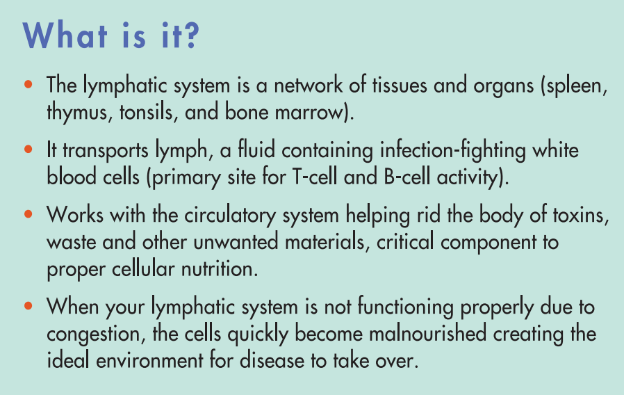 What Is The Lymphatic System | Oriental Remedies