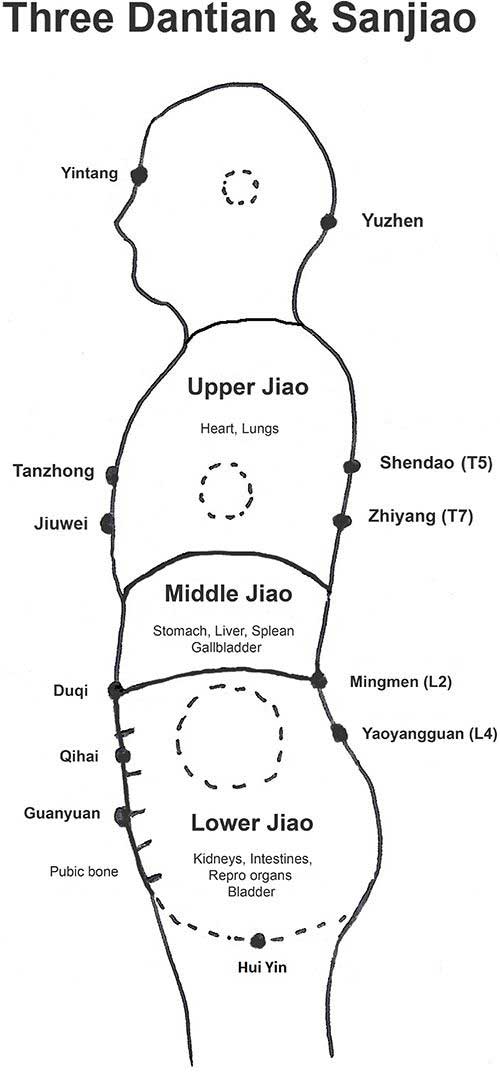 Three Dantian and Sanjiao | Oriental Remedies