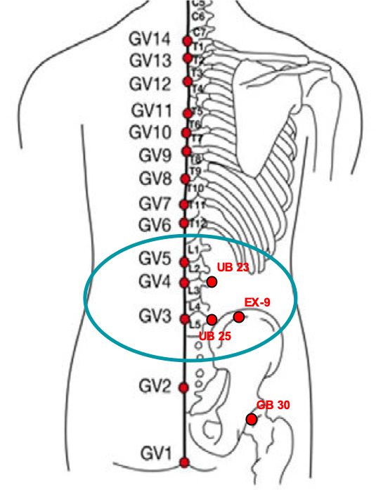  TCM Pain Analysis | Oriental Remedies