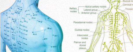 What Is The Link Between Traditional Chinese Medicine And Allopathic Western Medicine? | Oriental Remedies