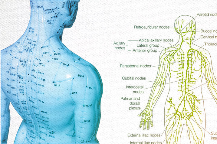 Detox & Decongestion Acupressure Point Lv 3 