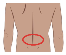 Acupoints for lower back pain | Oriental Remedies
