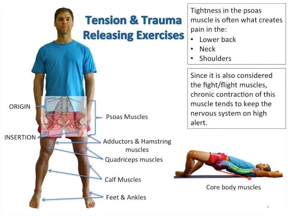Tension And Trauma Releasing Exercises | Oriental Remedies