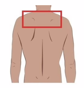 Upper Back Pain | Oriental Remedies
